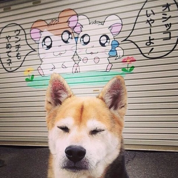 开yun官网-乒乓战术细节：Chinese Taipei如何打破对手防线，中国台北乒乓球团体赛