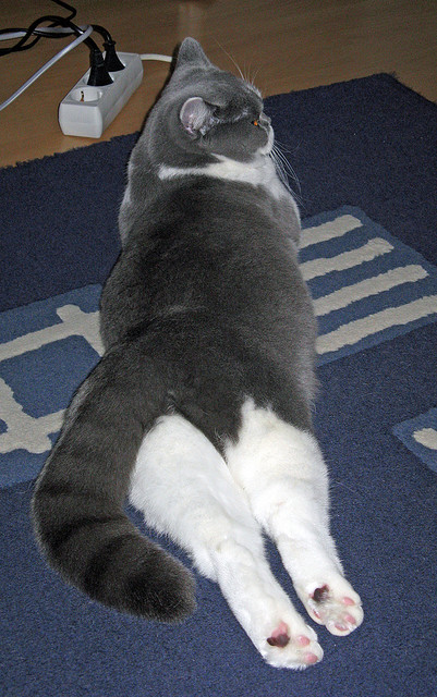 开云体育登录入口-五大联赛出场球员跑动距离与战术体系关系，球员跑动距离数据