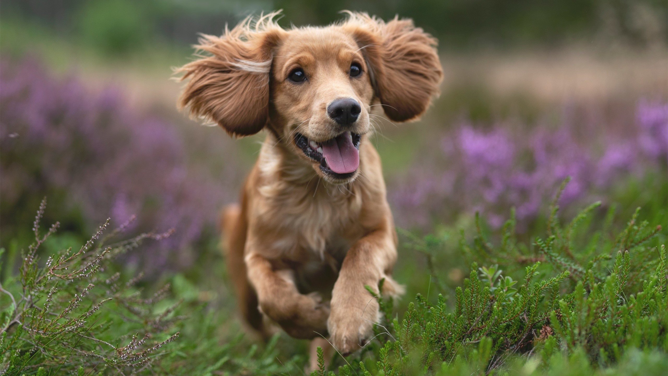 kaiyun网址-体能管理数据支持技术发挥，体能训练管理规定