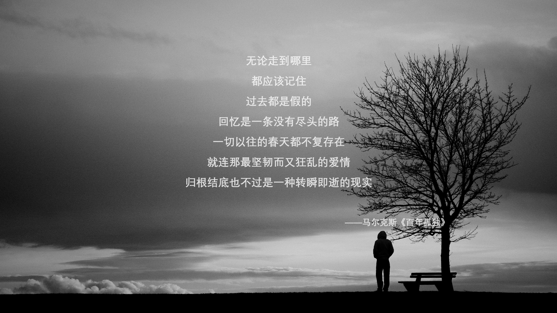 加拿大乒乓队未来展望:打造全面发展的世界级队伍,加拿大乒乓球组合