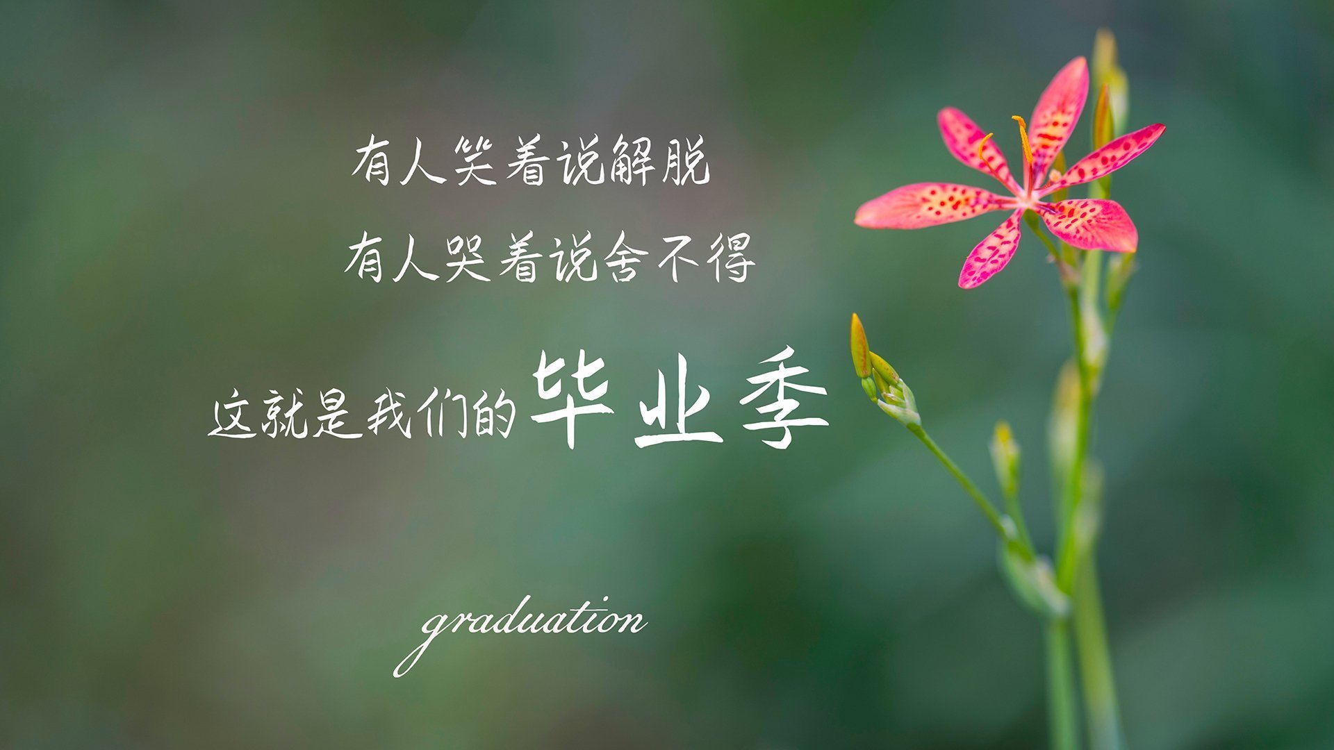 年轻球员心态波动大心理训练不可忽视,球员倾向