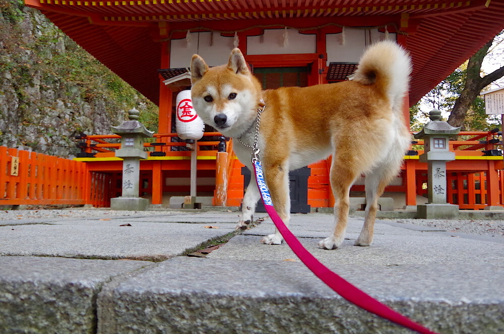 攀岩运动普及率持续增长,攀岩运动的现状