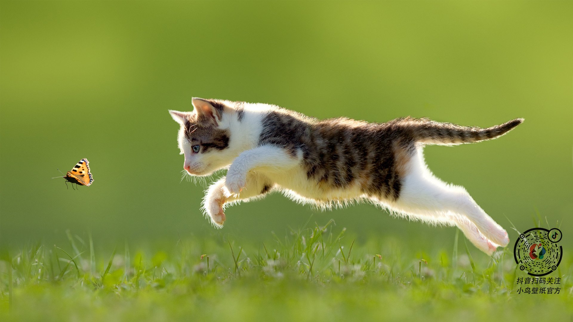 开云体育足球-球队双核之间的攻防协同机制分析，nba双核建队思路