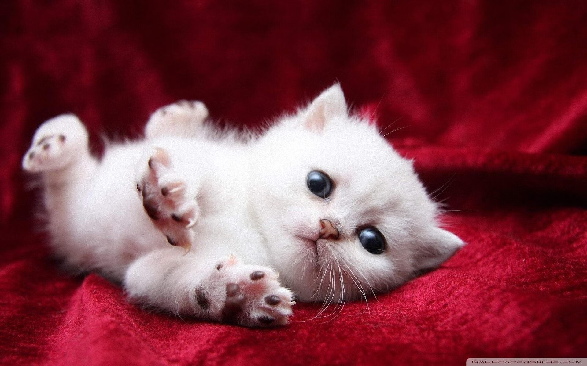 足球青年联赛引入防摔装备保障安全,青年足球队