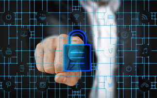 开云体育app注册-马术运动进校园课程体系初步建立，马术走进校园合作方案