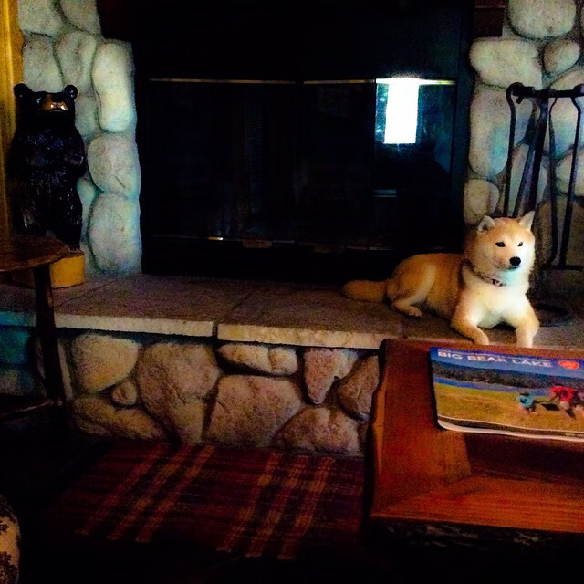 CBA季后赛球票抢购火爆彰显联赛关注度和商业价值持续上升,cba新赛季球票