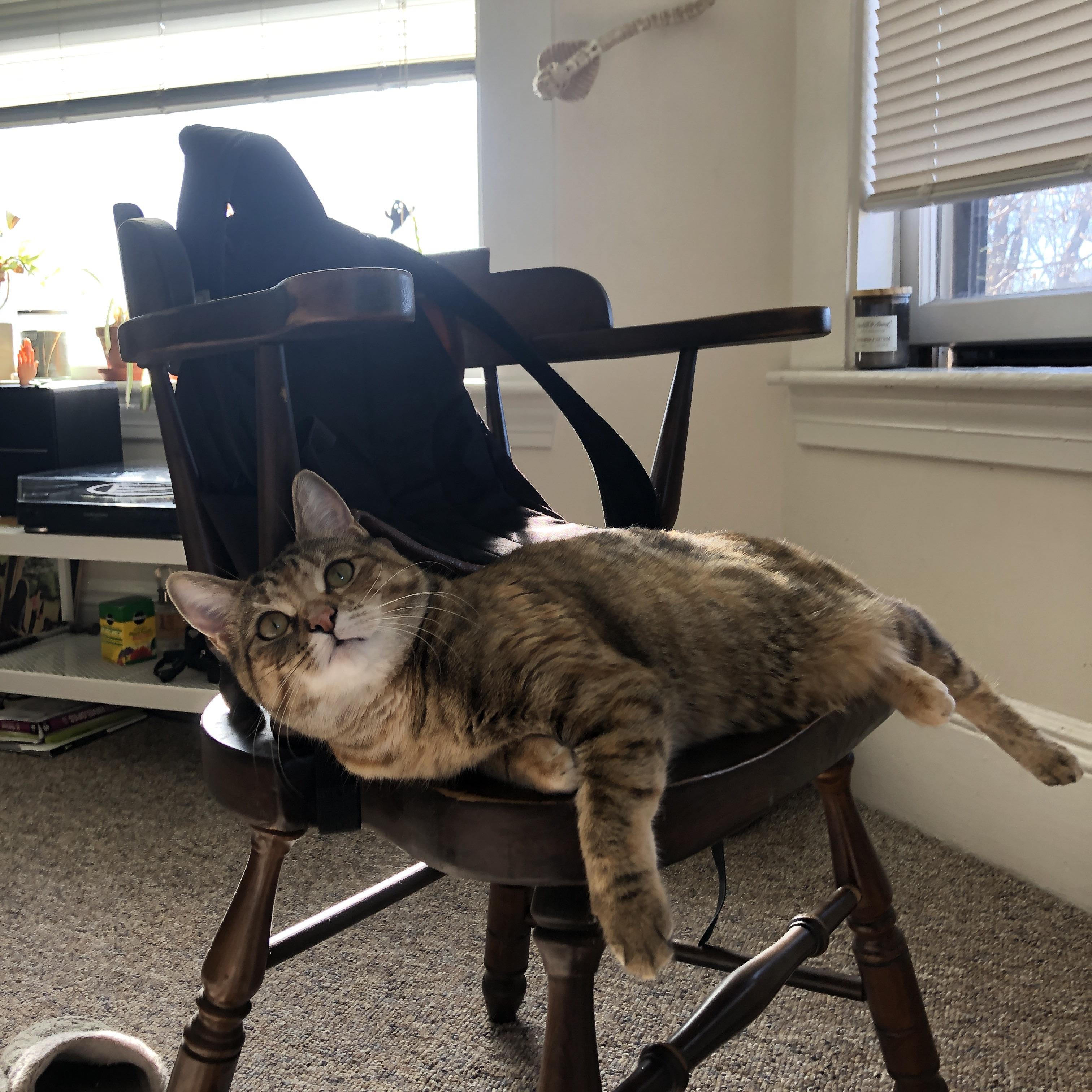 意甲绝佳配合:细腻传控成就经典,意甲官方最佳阵容