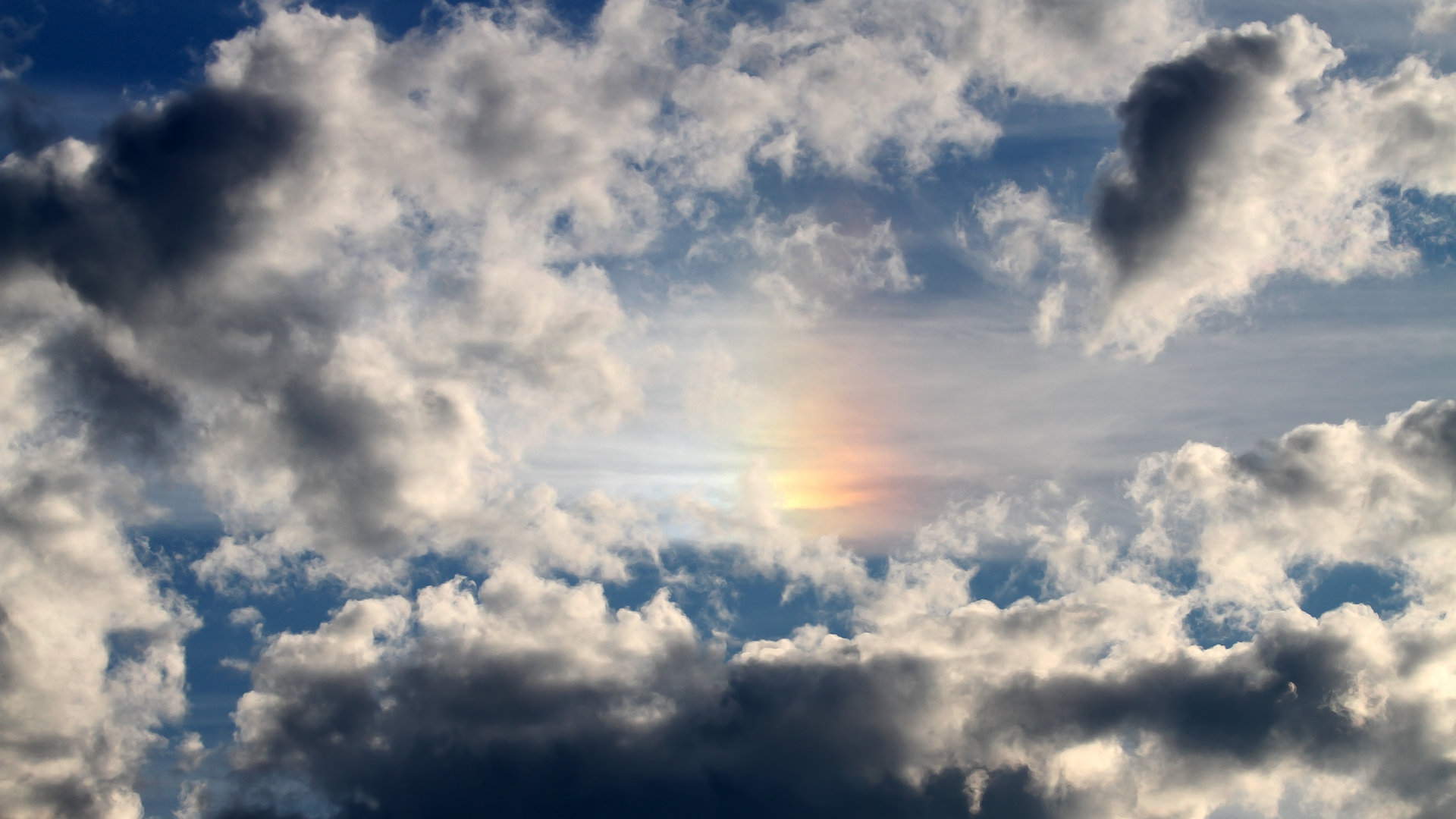 李娜全英文演讲鼓励全球青年,李娜 英文