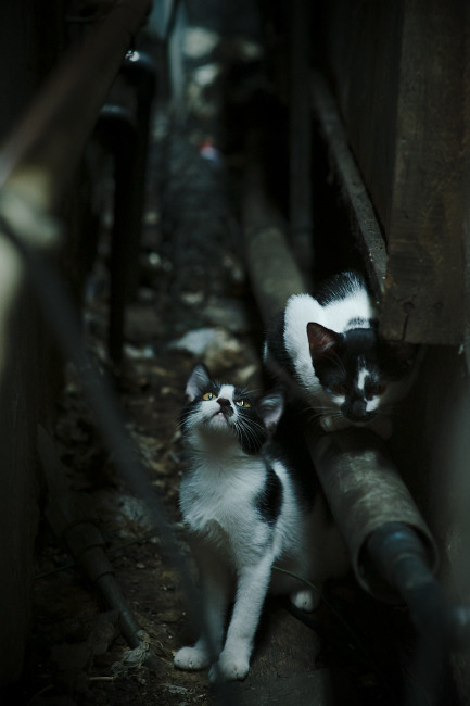 欧洲杯精彩再现:战术对决中的巅峰表现,欧洲杯各个球队技战术打法