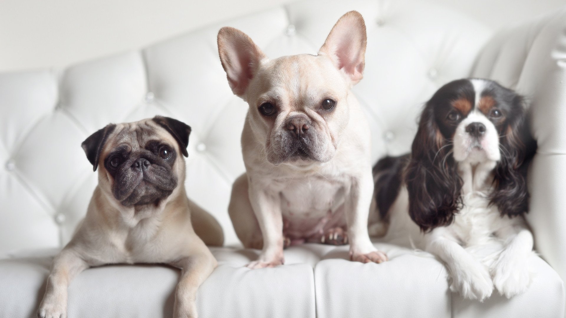 渡边一平展现强大心理素质,渡边xinyilang