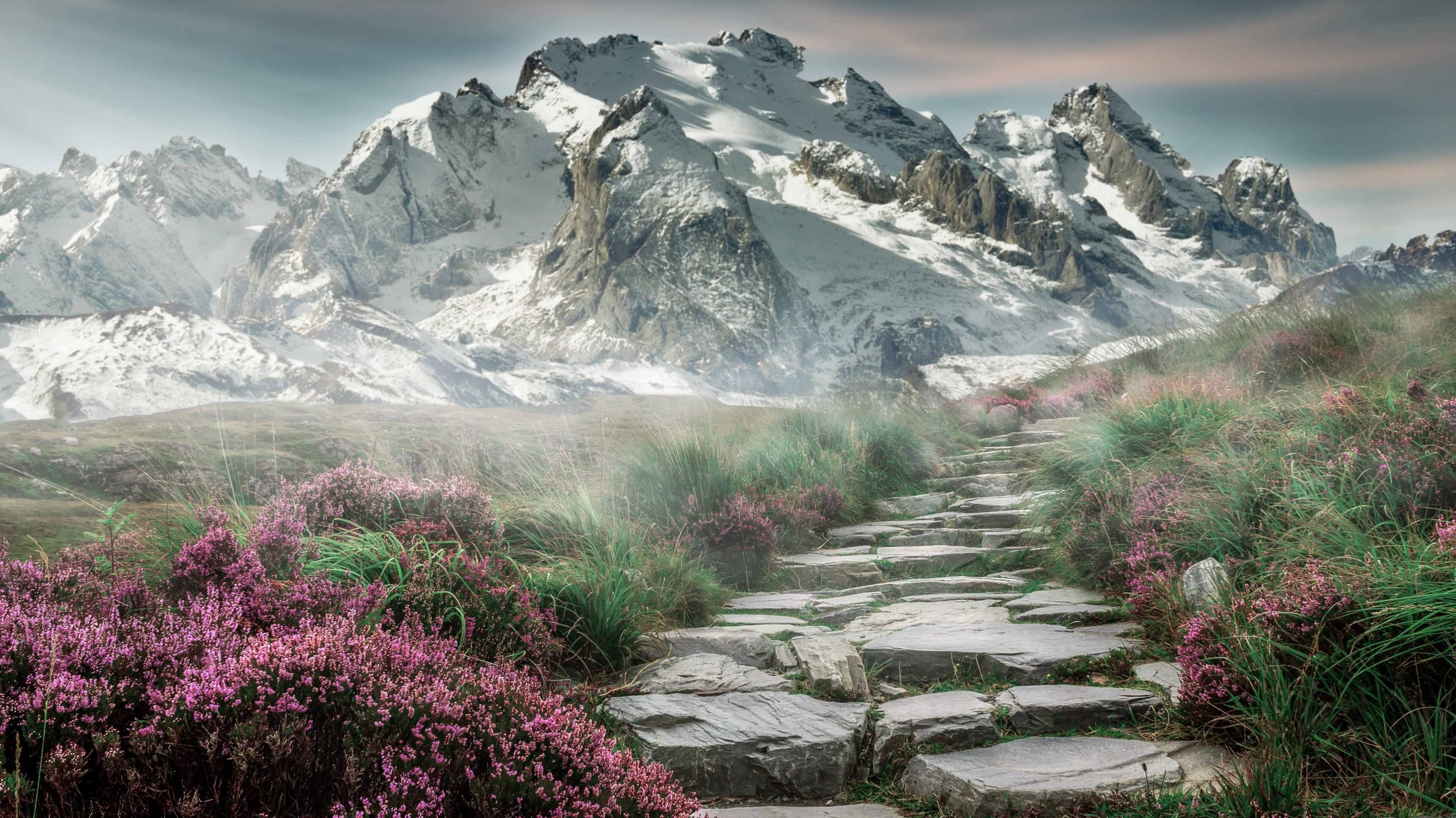 开云体育在线登入-Wagner 经验丰富稳定团队情绪，稳定团队措施