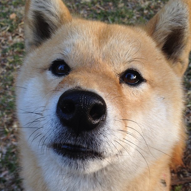 开云体育app在线-《冠军》聚焦黄雅琼：逐梦路上从未停止前行，黄雅琼 百度百科